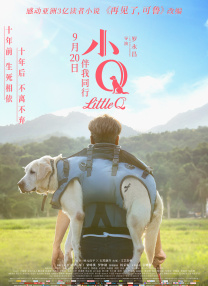 激情片av